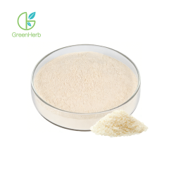Rice Protein Powder
