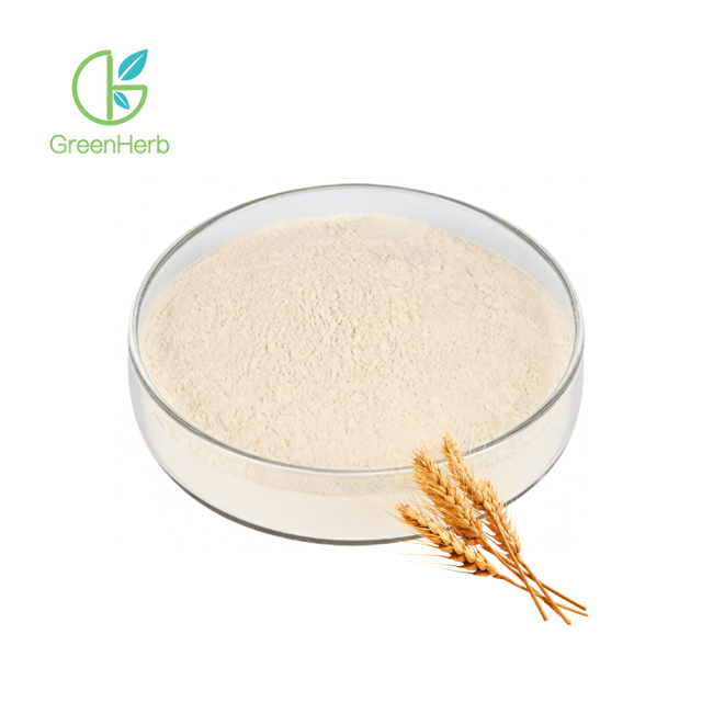 Wheat Protein Powder