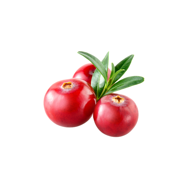 Cranberry Fruit Extract