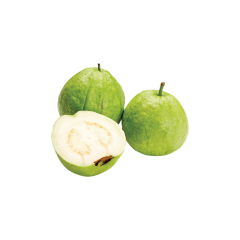Guava Fruit Extract