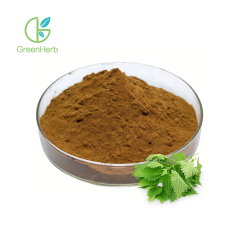 Nettle Leaf Extract