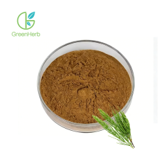 Horsetail Grass Extract