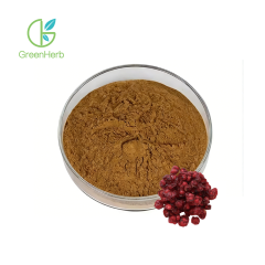 Schisandra Extract
