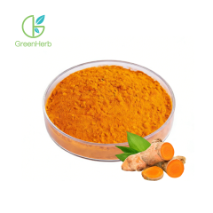 Turmeric Root Powder