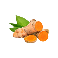 Turmeric Root Powder