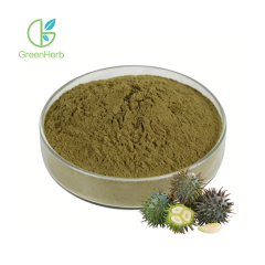 Tribulus Terrestris Extract Powder