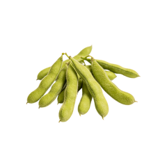 Velvet Bean Extract