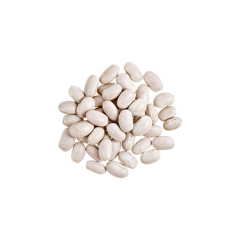 White Kidney Bean Extract