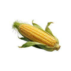 Zeaxanthin powder 5%