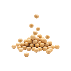 Soy Phytosterols Powder