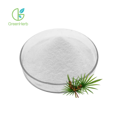 Saw Palmetto Extract