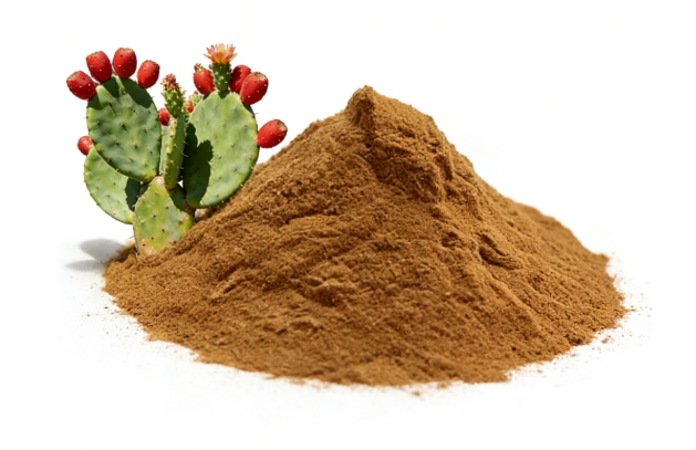 Prickly Pear Cactus Extract Supplier | HighQuality Natural Extracts