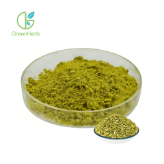 Quercetin Powder