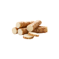 Wild Yam Root Extract