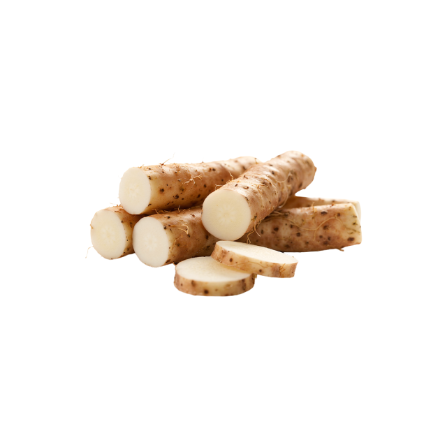 Wild Yam Root Extract