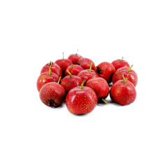 Hawthorn Berry Extract