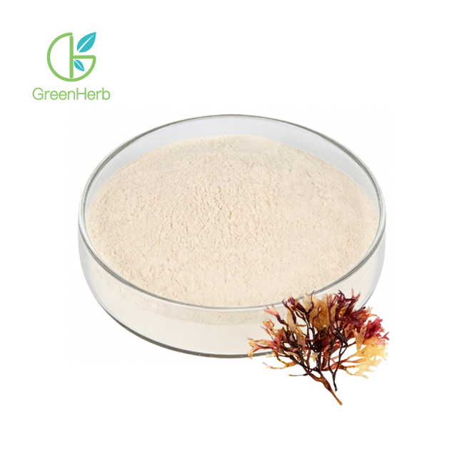 Irish Moss Powder