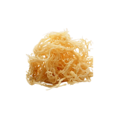 Irish Sea Moss Extract