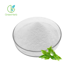 Green Tea Extract L-Theanine