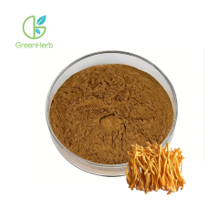 Cordyceps Militaris Extract