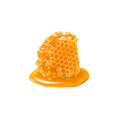 Propolis Powder