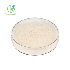 Yeast Beta Glucan Powder