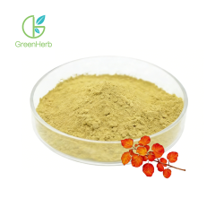 Fisetin Powder