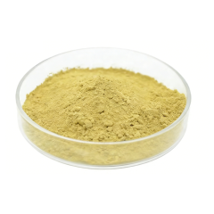 Fisetin Powder