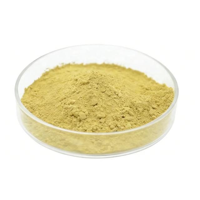 Fisetin Powder