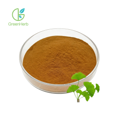 Ginkgo Biloba Extract