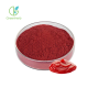 Tomato Sauce Powder