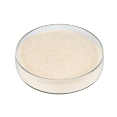 Monk Fruit Powder