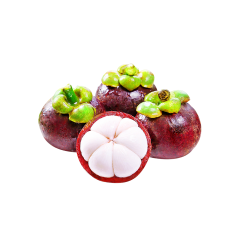 Mangosteen Extract