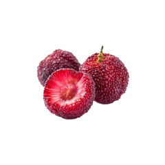 ‌Waxberry Extract