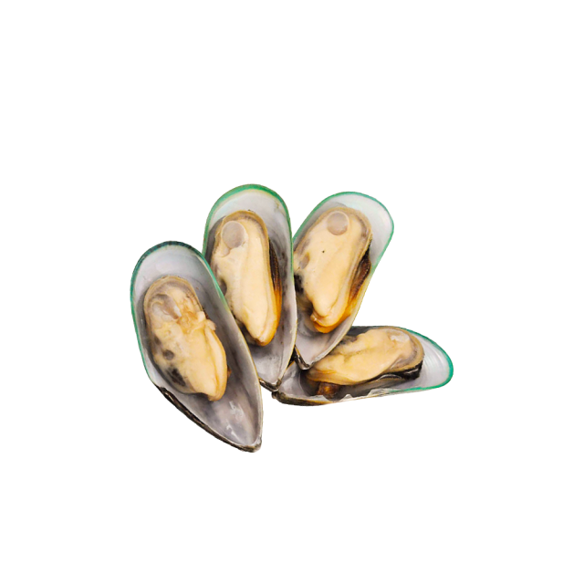Green Lipped Mussel Powder