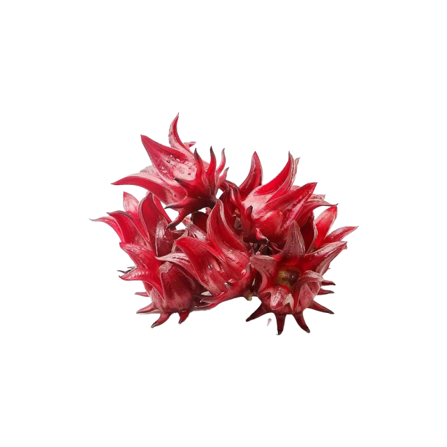 Luoshen Flower Extract