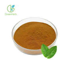Peppermint Leaf Extract