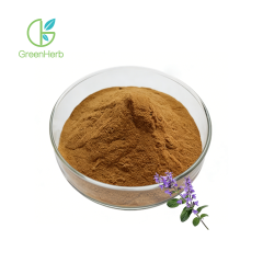 Sage Leaf Extract