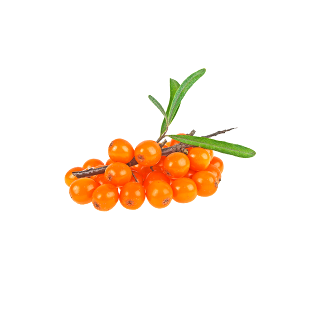 Sea Buckthorn Powder