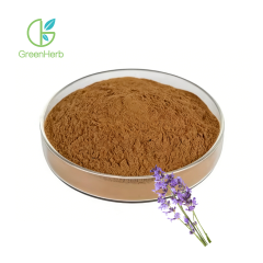 Coleus Forskohlii Extract