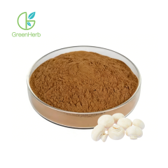 White Button Mushroom Extract
