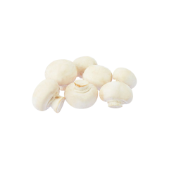 White Button Mushroom Extract