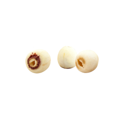 Lotus Seed Extract