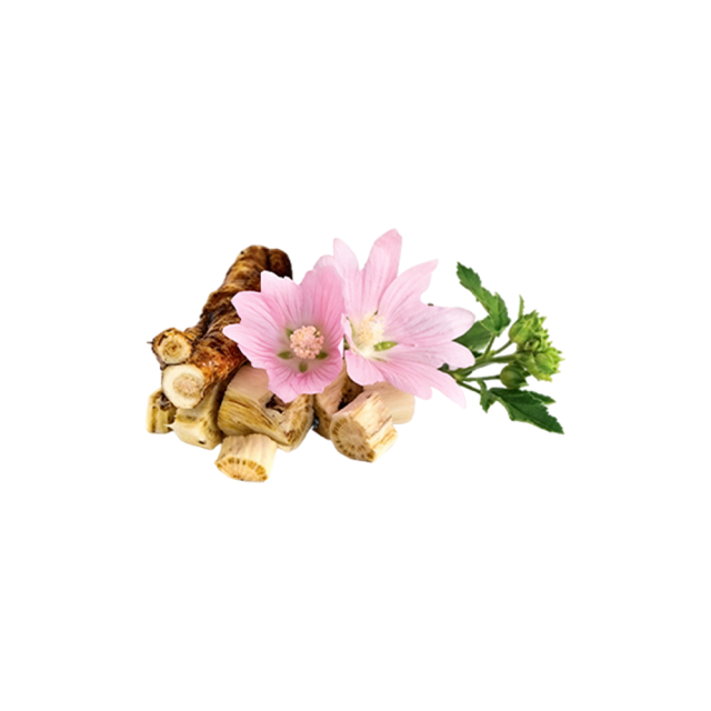 Marshmallow Root Powder