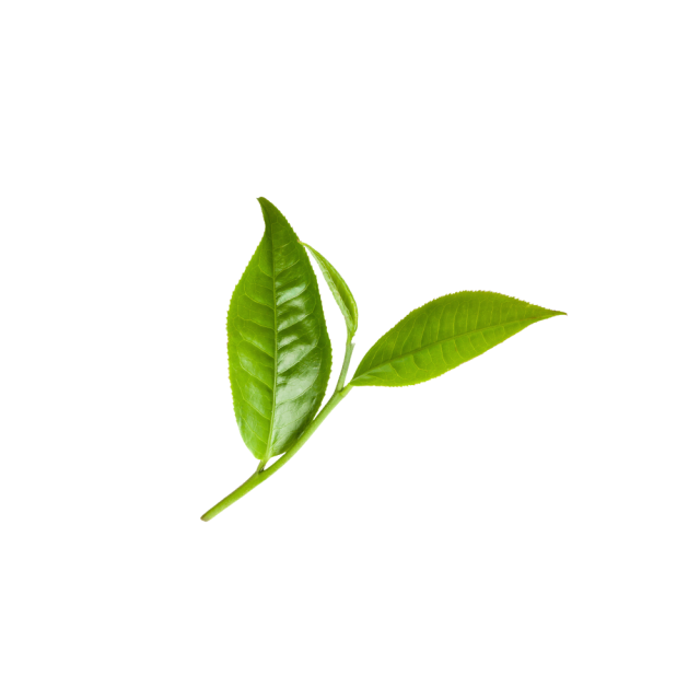 Matcha Powder