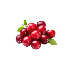Lingonberry Powder