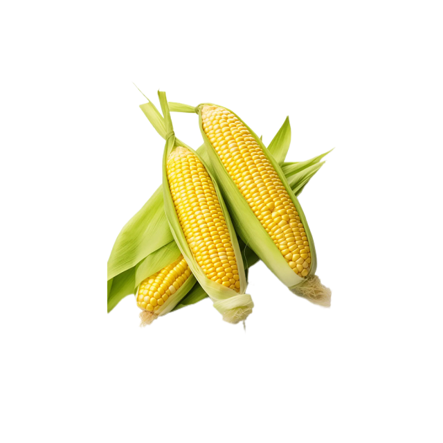 Sweet Corn Powder