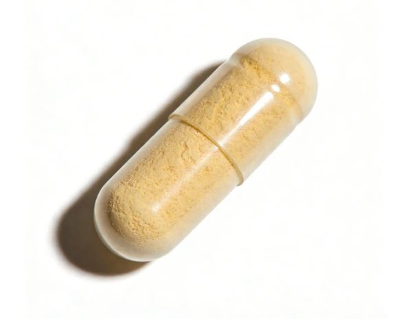 organic jerusalem artichoke powder