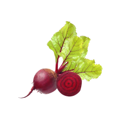 Beetroot Extract