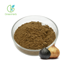 Black Garlic Extract